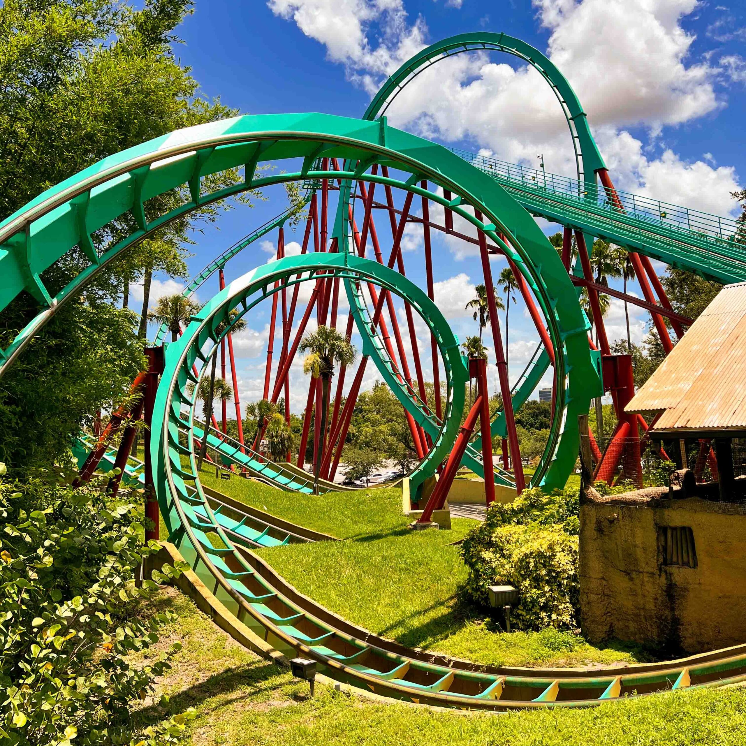 From Tame To Thrilling: The Roller Coasters of Busch Gardens